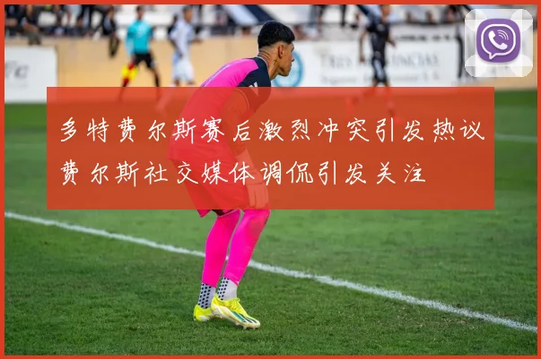 多特费尔斯赛后激烈冲突引发热议费尔斯社交媒体调侃引发关注